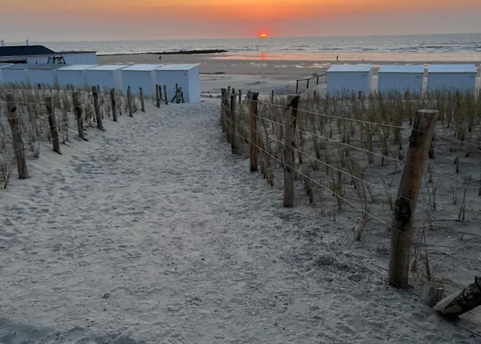De Zwaluw 3 * Middelkerke